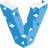 vagrant Icon